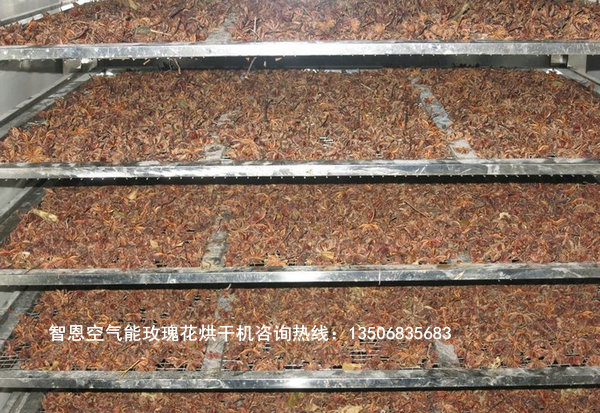 八角烘干